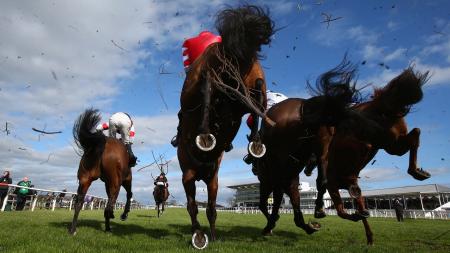 https://betting.betfair.com/horse-racing/Wetherby%20jump%201280x720.jpg